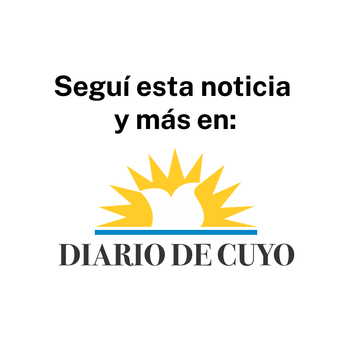 Vicuña: una oportunidad histórica que San Juan y el país deben aprovechar
